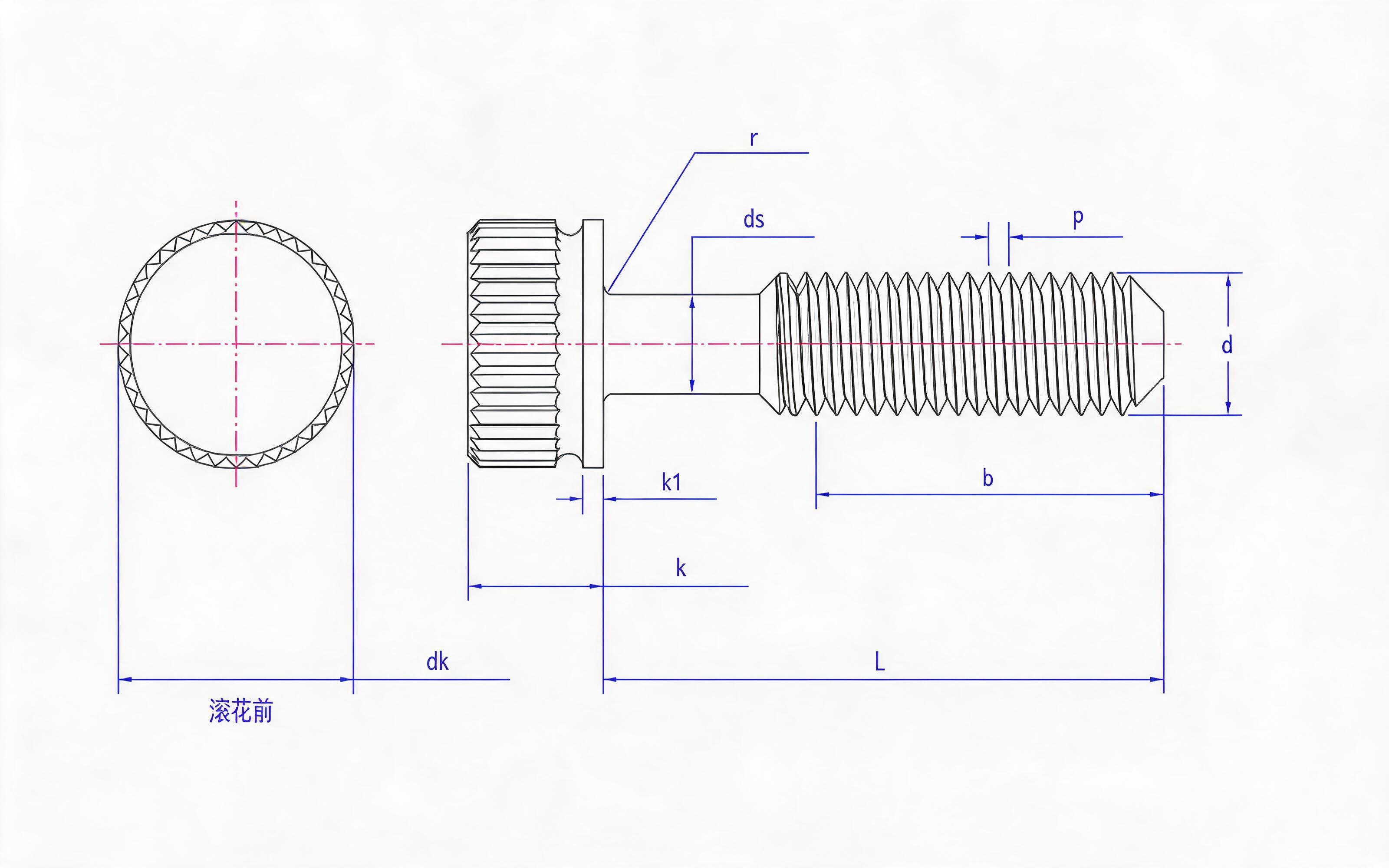 Knurled head screw type B Standard Drawing