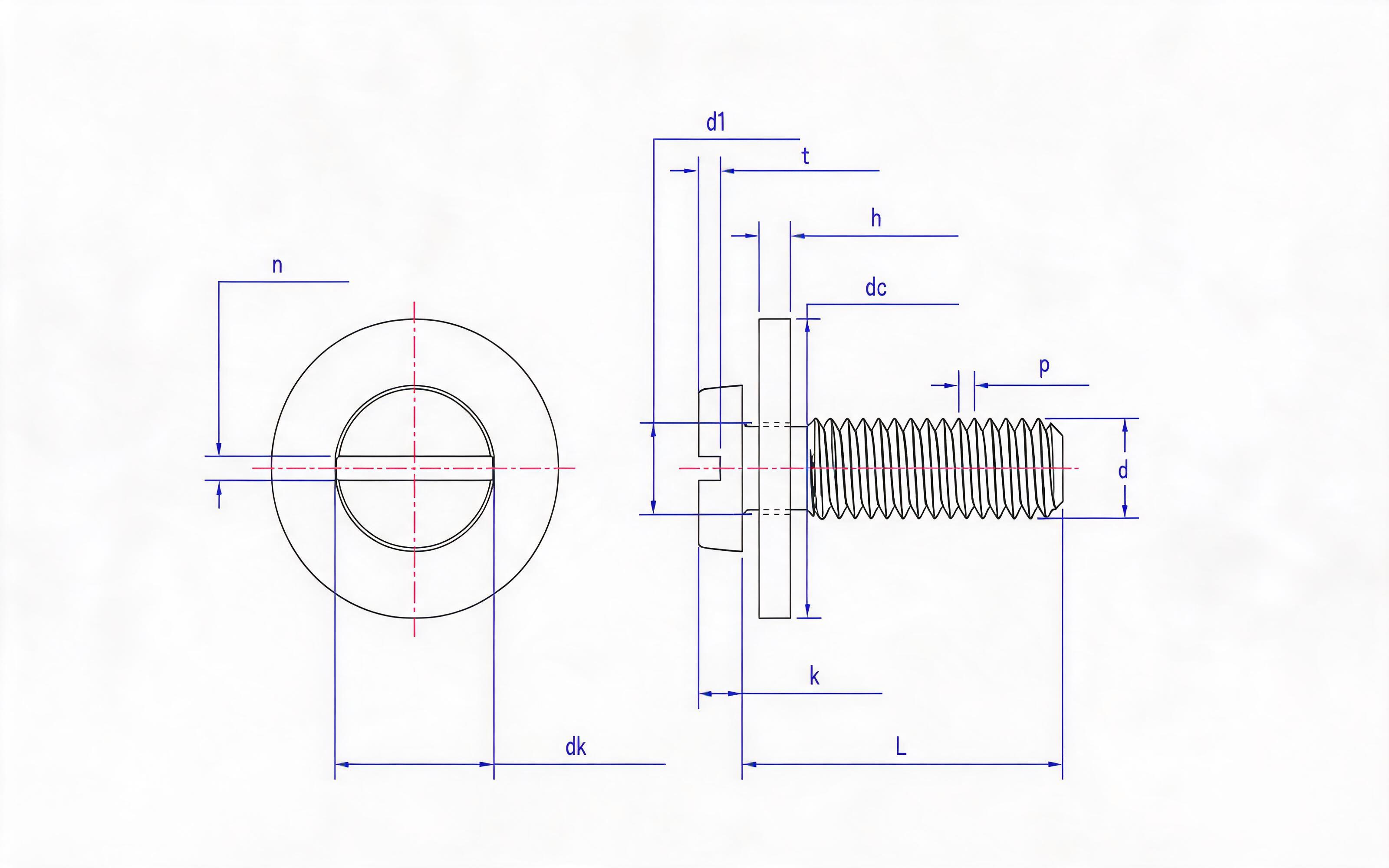 Combination of slotted cheese head screw and large flat washer Standard Drawing
