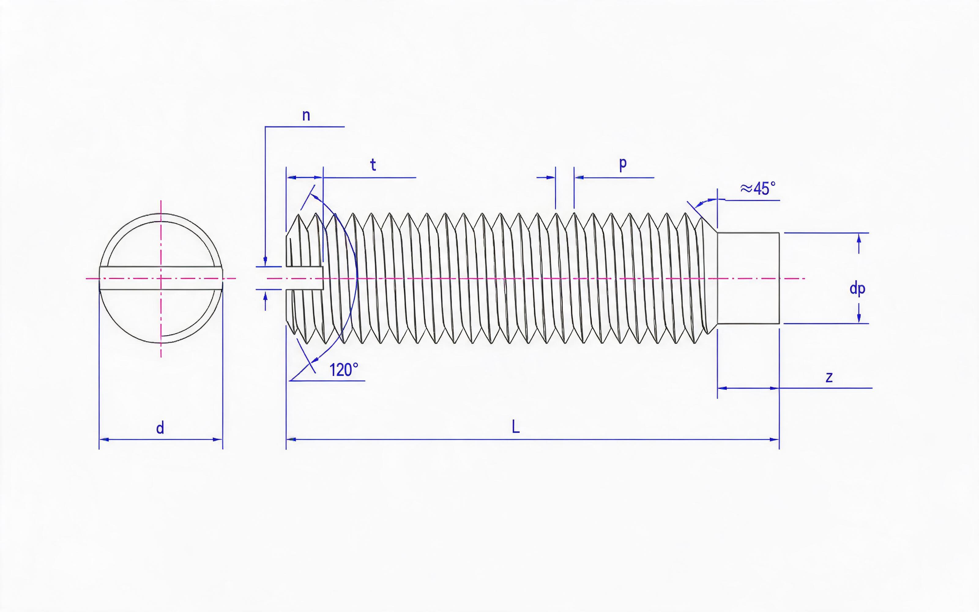 SLOTTED LONG CYLINDRICAL END SET SCREW Standard Drawing